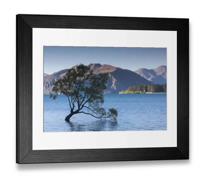 Framed Print : New Zealand, South Island, Otago, Wanaka, Lake Wanaka, solitary tree, dusk