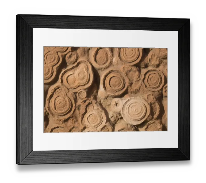 Framed Print : Africa, Morocco, Erfoud. Details of fossils at fossil factory Framed Print : Africa, Morocco, Erfoud. Details of fossils at fossil factory