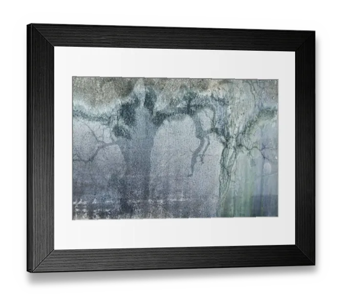 Framed Print : USA, California, Carrizo Plain National Monument. Abstract composite of oak tree and metal patterns Framed Print : USA, California, Carrizo Plain National Monument. Abstract composite of oak tree and metal patterns