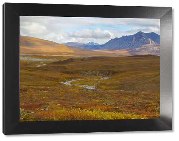 USA, Brooks Range, Gates of the Arctic National Preserve. Autumn color in tundra
