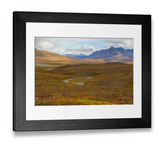 Framed Print : USA, Brooks Range, Gates of the Arctic National Preserve. Autumn color in tundra Framed Print : USA, Brooks Range, Gates of the Arctic National Preserve. Autumn color in tundra