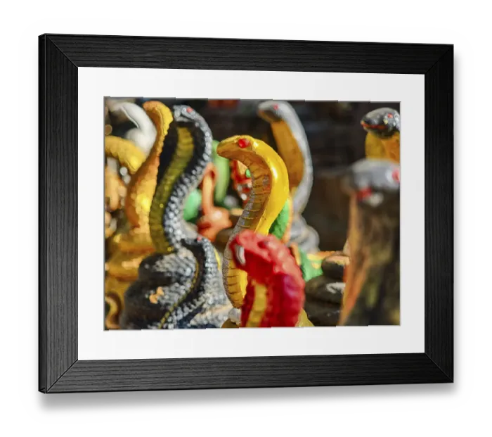Framed Print : South East Asia; Thailand; Chiang Mai; Cobra Snake replica display Framed Print : South East Asia; Thailand; Chiang Mai; Cobra Snake replica display