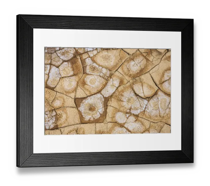 Framed Print : Dried, cracked earth and salt create the patterns on the flats of Death Valley National Framed Print : Dried, cracked earth and salt create the patterns on the flats of Death Valley National