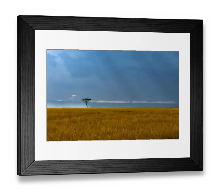 Framed Print : Kenya, Masai Mara, Lone tree Framed Print : Kenya, Masai Mara, Lone tree