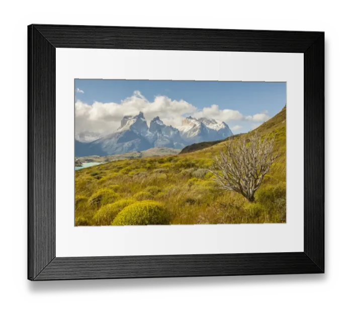 Framed Print : South America, Chile, Patagonia. Lake Pehoe and The Horns mountains Framed Print : South America, Chile, Patagonia. Lake Pehoe and The Horns mountains
