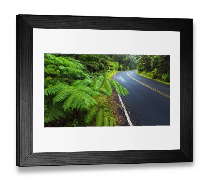Framed Print : Park road through the fern forest, Hawaii Volcanoes National Park, Hawaii USA Framed Print : Park road through the fern forest, Hawaii Volcanoes National Park, Hawaii USA