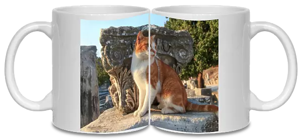 Turkey, Izmir Province, Selcuk, ancient city Ephesus, ancient world center of travel