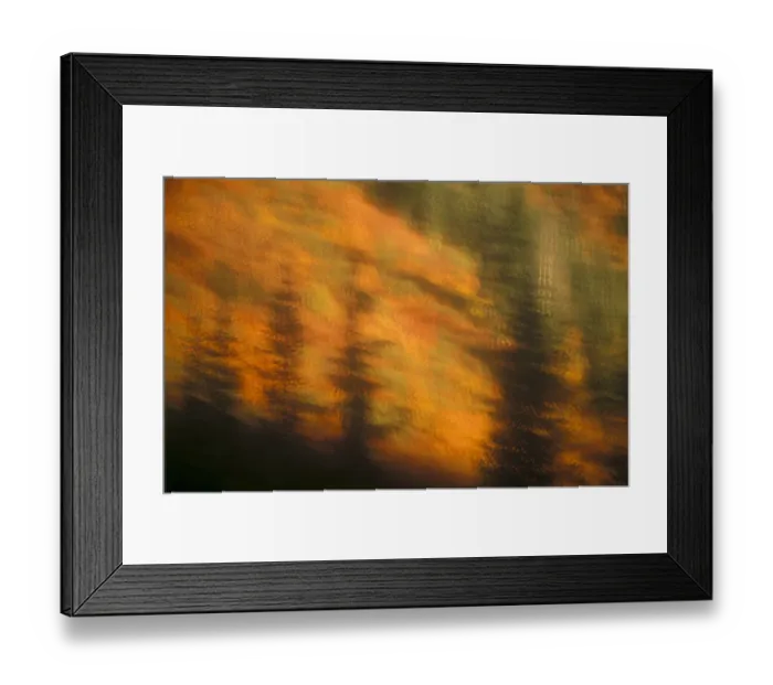 Framed Print : Blurred background image of trees in a forest in autumn Framed Print : Blurred background image of trees in a forest in autumn