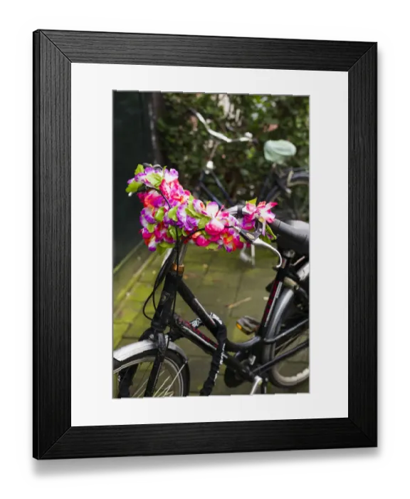 Framed Print : Netherlands, Amsterdam, bicycle detail Framed Print : Netherlands, Amsterdam, bicycle detail