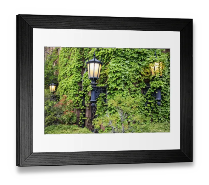 Framed Print : Boston, MA, USA. Street lamps with abundant foliage of historic buildings