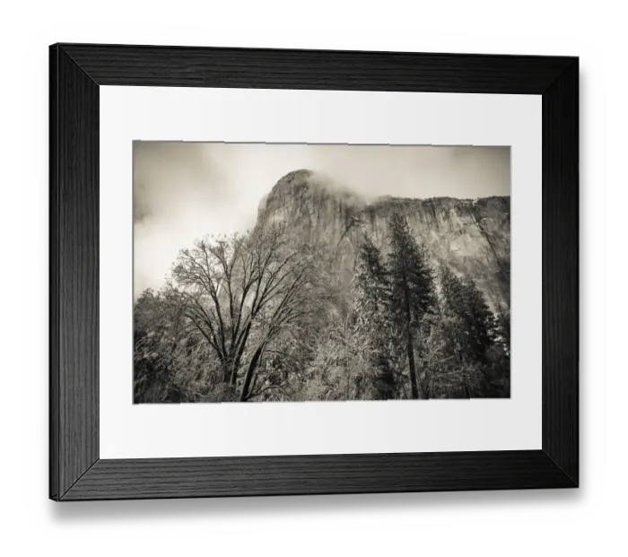 Framed Print : El Capitan and black oak in winter, Yosemite National Park, California USA