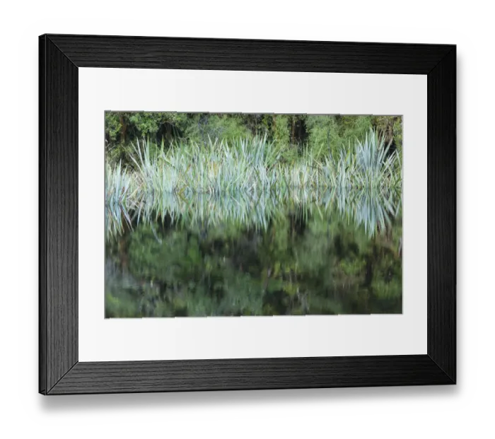 Framed Print : New Zealand, South Island, West Coast, Fox Glacier Village, Lake Matheson, reflection Framed Print : New Zealand, South Island, West Coast, Fox Glacier Village, Lake Matheson, reflection