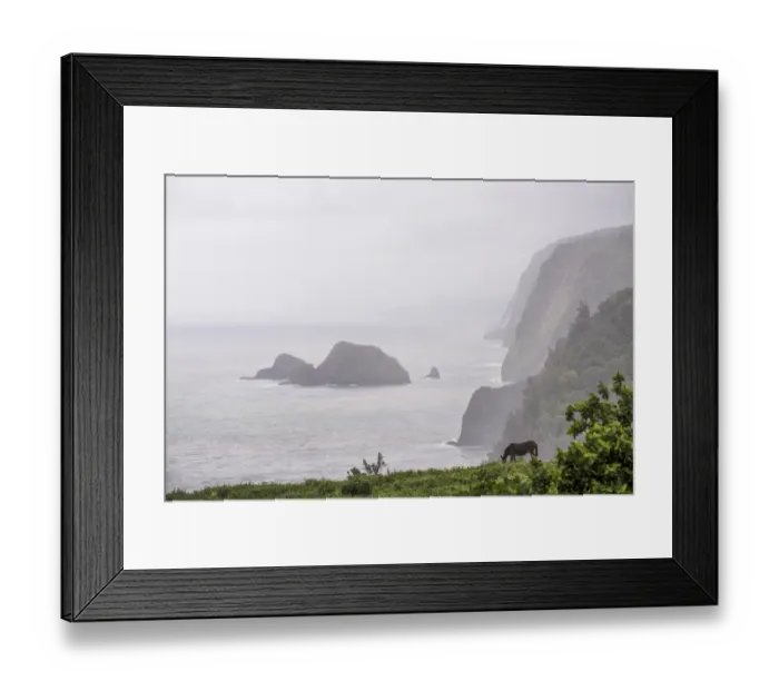 Framed Print : Horse grazing along the Pololu Valley Lookout, Hamakua Coast, The Big Island, Hawaii, USA Framed Print : Horse grazing along the Pololu Valley Lookout, Hamakua Coast, The Big Island, Hawaii, USA