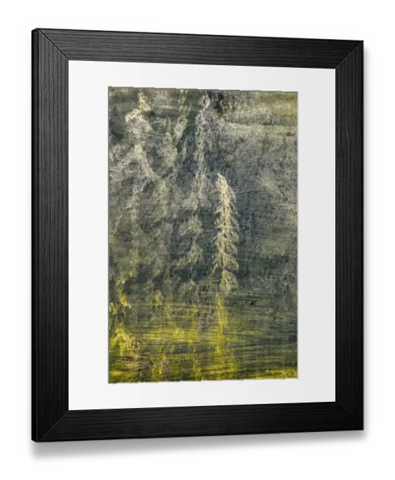 Framed Print : USA, Alaska, Wiseman. Paint on an oil drum Framed Print : USA, Alaska, Wiseman. Paint on an oil drum