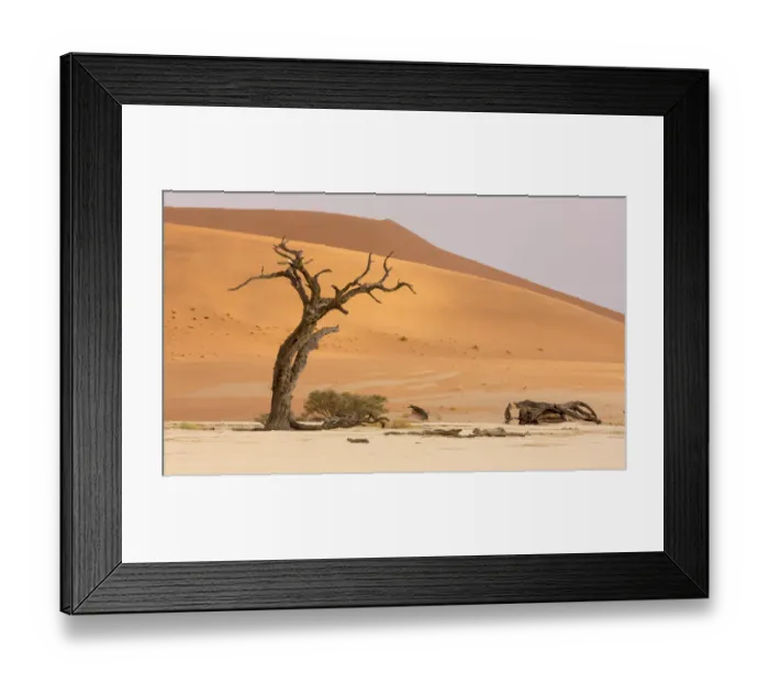 Framed Print : Africa, Namibia, Namib-Naukluft Park, Deadvlei. Dead tree and sand dunes. Credit as Framed Print : Africa, Namibia, Namib-Naukluft Park, Deadvlei. Dead tree and sand dunes. Credit as