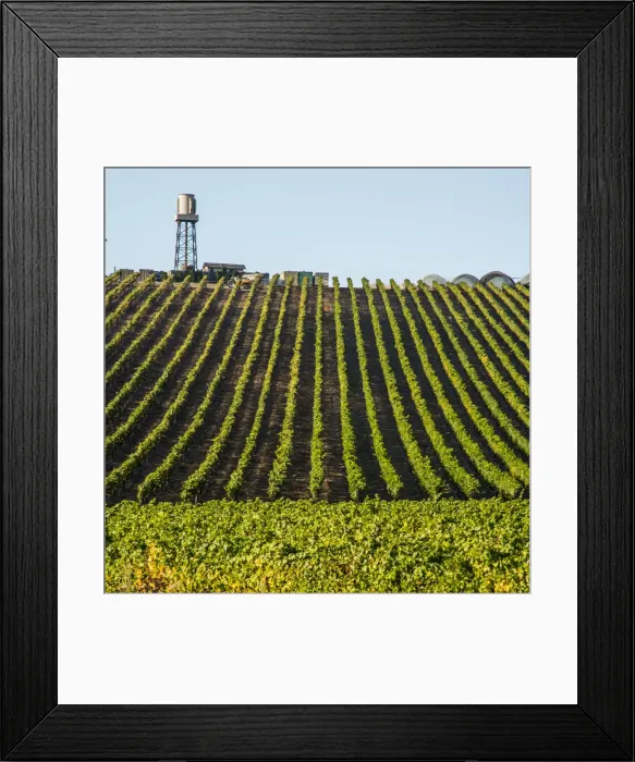 Framed Print : USA California, No Water No Life CA Drought Expedition # 5, farmland off US1 (Pacific Coast Highway Framed Print : USA California, No Water No Life CA Drought Expedition # 5, farmland off US1 (Pacific Coast Highway
