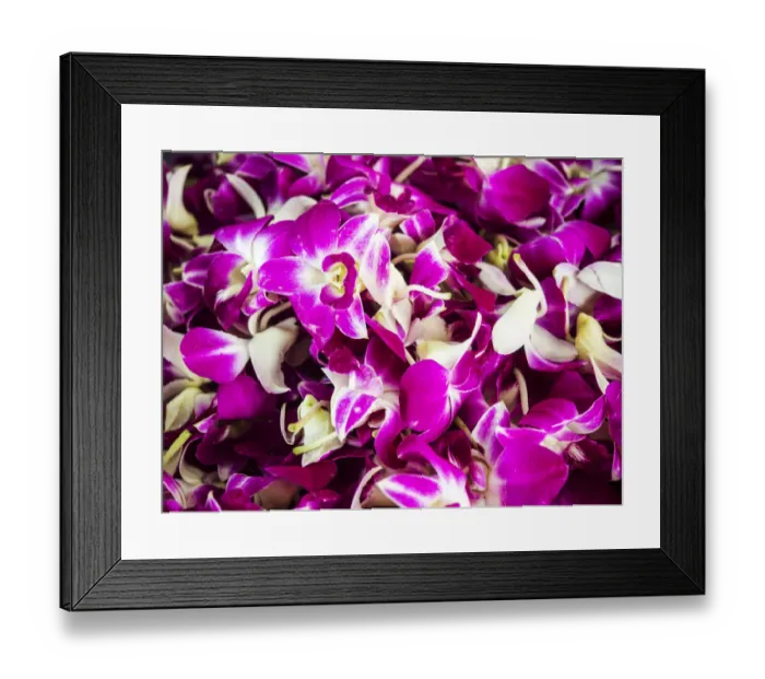 Framed Print : Southeast Asia; Thailand; Bangkok; kBangkok Street Flower Market