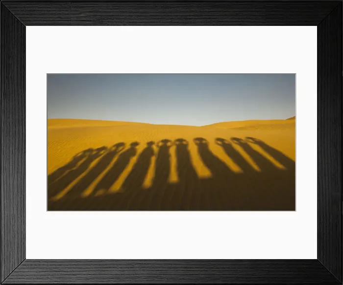 Framed Print : Shadows of waterbearers, Thar Desert, India Framed Print : Shadows of waterbearers, Thar Desert, India
