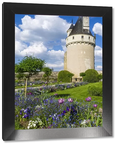 Chateau de Chenonceau, Chenonceaux, Loire Valley, France