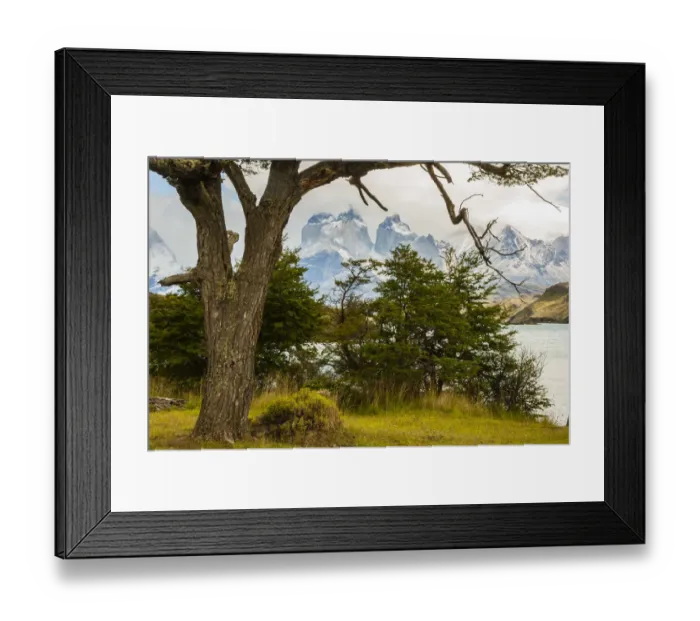 Framed Print : South America, Chile, Patagonia. Lake Pehoe and The Horns mountains Framed Print : South America, Chile, Patagonia. Lake Pehoe and The Horns mountains