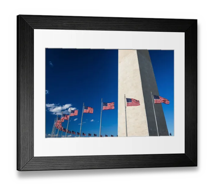 Framed Print : The Washington Monument, Washington, DC USA