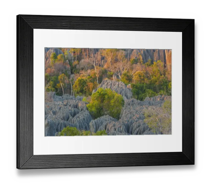 Framed Print : Limestone formations, Tsingy de Bemaraha Strict Nature Reserve, Madagascar Framed Print : Limestone formations, Tsingy de Bemaraha Strict Nature Reserve, Madagascar