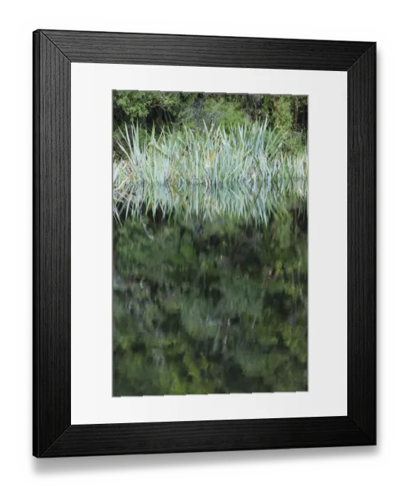 Framed Print : New Zealand, South Island, West Coast, Fox Glacier Village, Lake Matheson, reflection