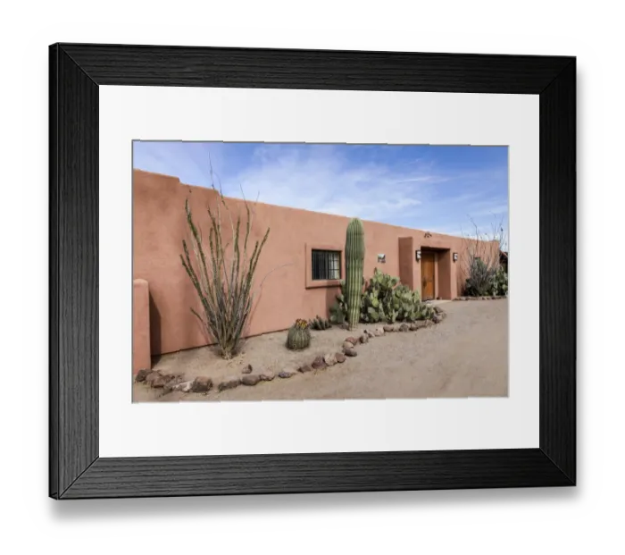 Framed Print : Cactus outside an adobe building, Tucson, Arizona, United States Framed Print : Cactus outside an adobe building, Tucson, Arizona, United States