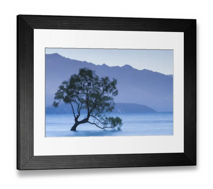 Framed Print : New Zealand, South Island, Otago, Wanaka, Lake Wanaka, solitary tree, dusk Framed Print : New Zealand, South Island, Otago, Wanaka, Lake Wanaka, solitary tree, dusk