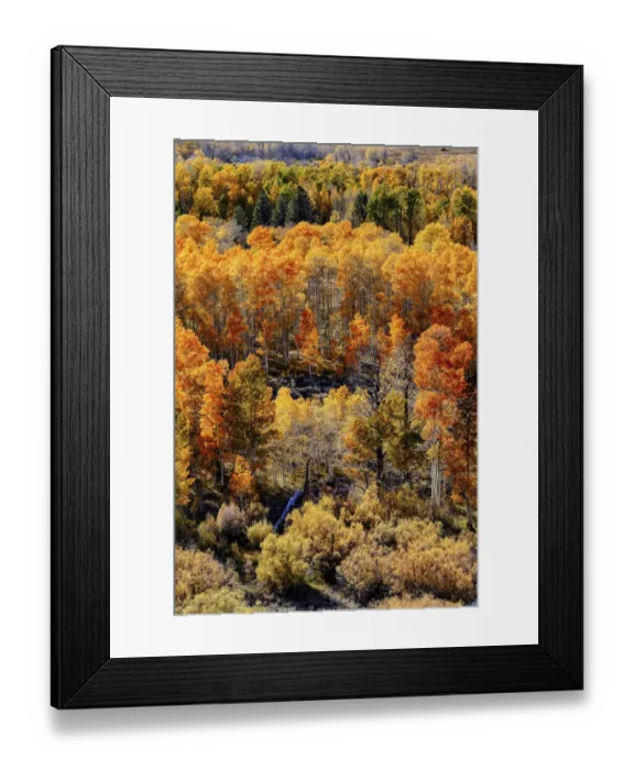 Framed Print : Conway Pass; Mono county; USA; Lee Vining; California Framed Print : Conway Pass; Mono county; USA; Lee Vining; California