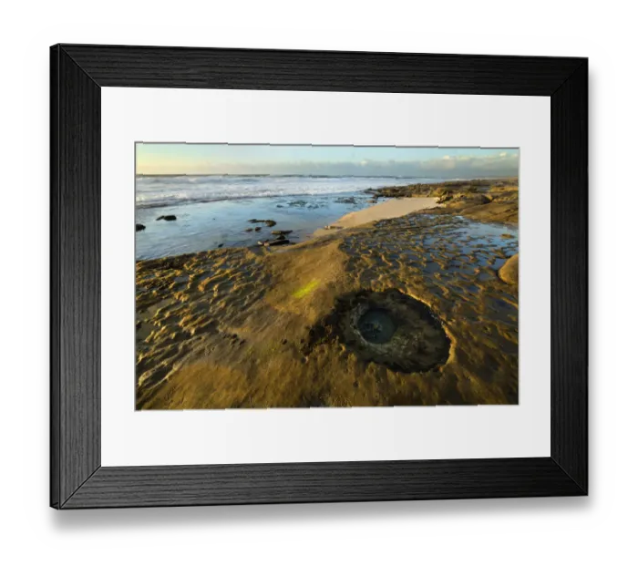 Framed Print : USA, California, La Jolla. Tidepools and ocean Framed Print : USA, California, La Jolla. Tidepools and ocean