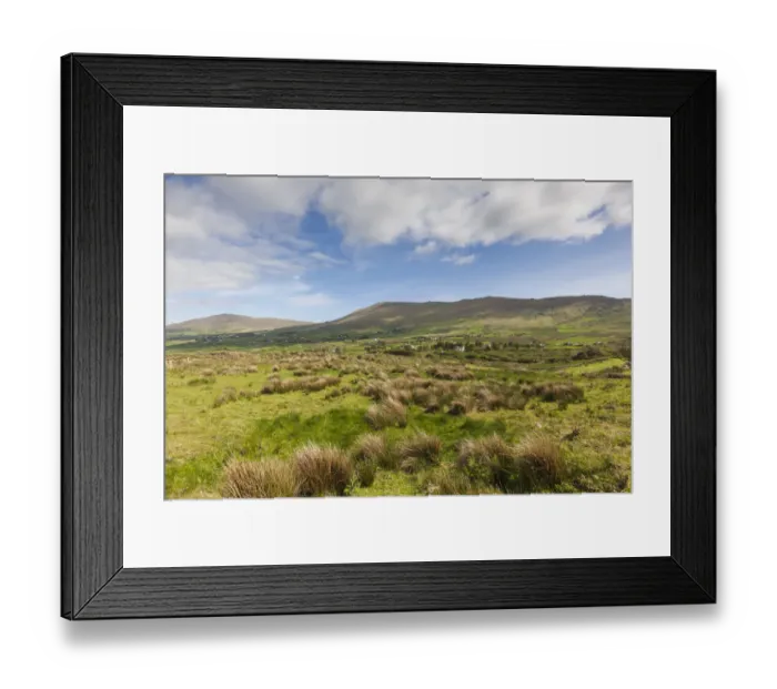 Framed Print : Ireland, County Cork, Beara Peninsula, Ring of Beara, Eyeries, tussock landscape Framed Print : Ireland, County Cork, Beara Peninsula, Ring of Beara, Eyeries, tussock landscape