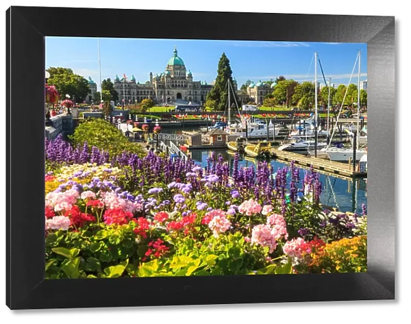 Summer flowers at Inner Harbour, Parliament Buildings behind, Victoria, Capital of British Columbia