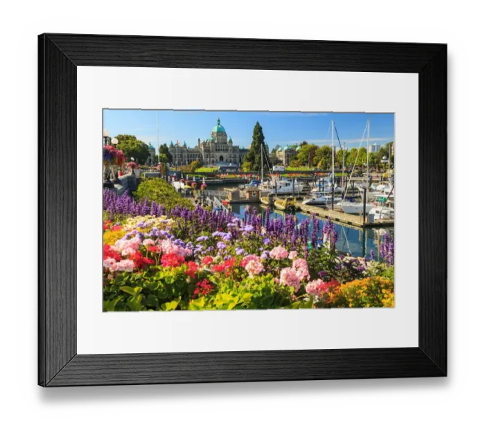 Framed Print : Summer flowers at Inner Harbour, Parliament Buildings behind, Victoria, Capital of British Columbia Framed Print : Summer flowers at Inner Harbour, Parliament Buildings behind, Victoria, Capital of British Columbia