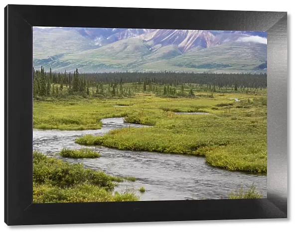 USA, Alaska, Nenana River Valley. Landscape with Seattle Creek