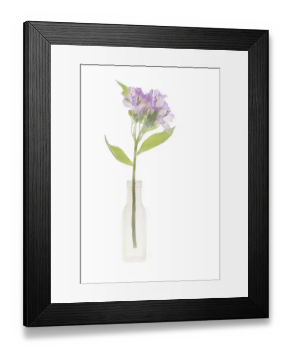 Framed Print : United States, Florida, Celebration, Flowers in a Vase Framed Print : United States, Florida, Celebration, Flowers in a Vase