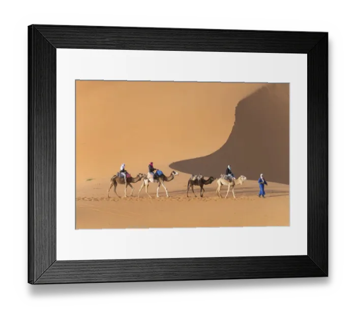 Framed Print : Africa, Morocco. Tourists ride camels in Erg Chebbi in the Sahara desert