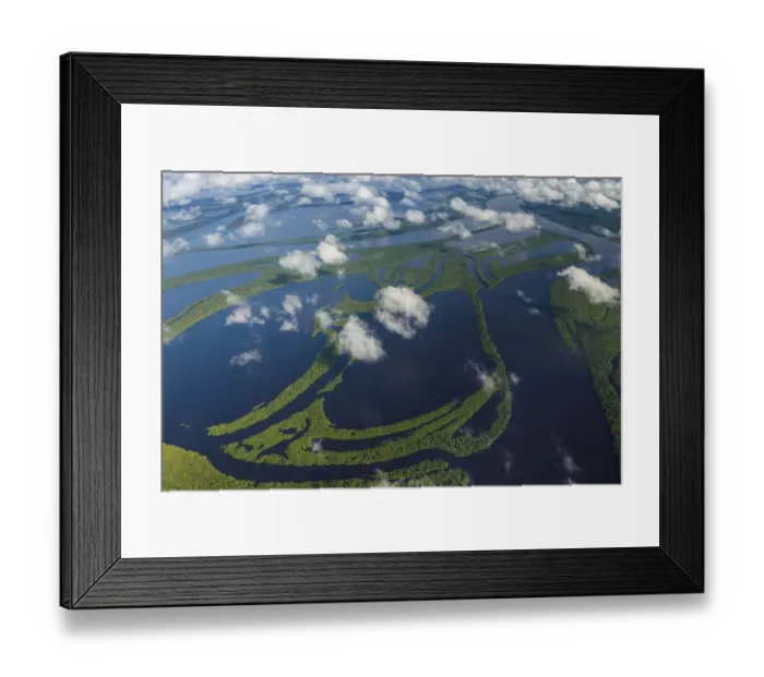 Framed Print : Aerial of Amazon River Basin, Manaus, Brazil Framed Print : Aerial of Amazon River Basin, Manaus, Brazil