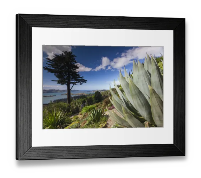 Framed Print : New Zealand, South Island, Otago, Otago Peninsula, Dunedin-area, Larnach Castle Gardens Framed Print : New Zealand, South Island, Otago, Otago Peninsula, Dunedin-area, Larnach Castle Gardens