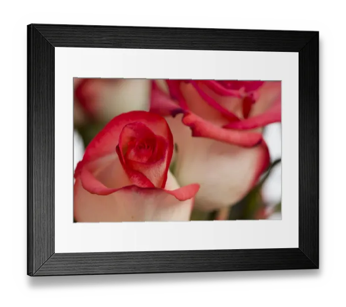 Framed Print : na01 rbr0001