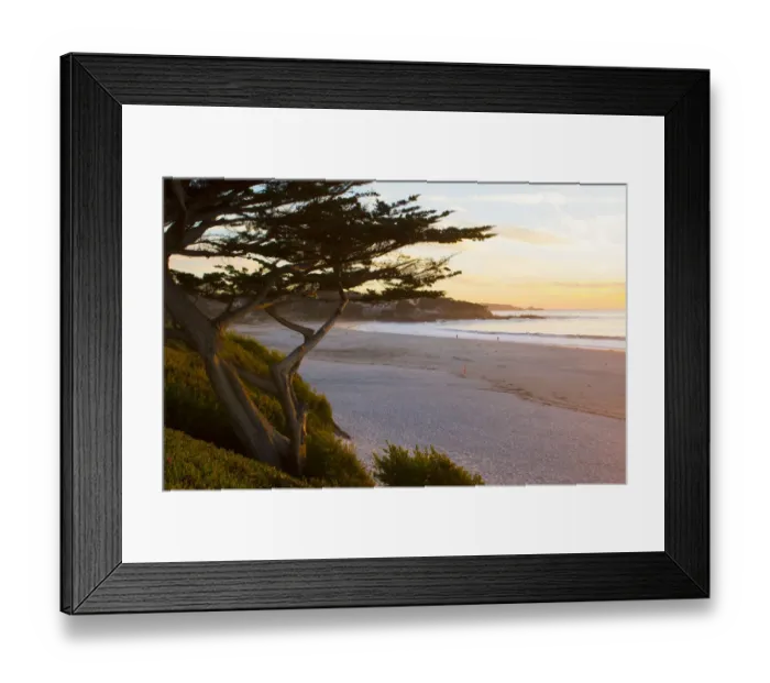 Framed Print : Carmel California cypress tree and waves at sunset on ocean at beach below city near Framed Print : Carmel California cypress tree and waves at sunset on ocean at beach below city near
