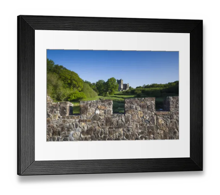 Framed Print : Ireland, County Wexford, Hook Peninsula, Saltmills, Tintern Abbey, 13th century