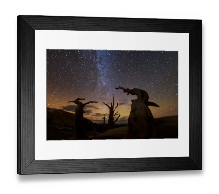 Framed Print : Bristlecone pine, Ancient Bristlecone Pine Forest, White Mountains, California
