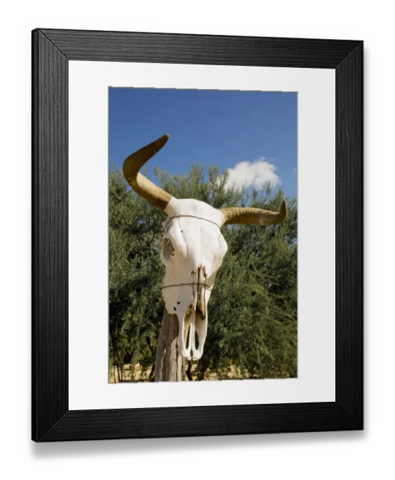 Framed Print : North America, Mexico, Baja California Sur, Sierra La Laguna