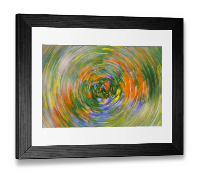 Framed Print : Wildflower abstract, Tehachapi Mountains, Angeles National Forest, California USA Framed Print : Wildflower abstract, Tehachapi Mountains, Angeles National Forest, California USA