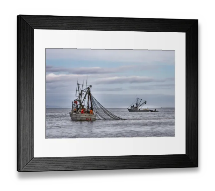 Framed Print : North America, USA, Alaska, Kodiak, Chiniak Bay