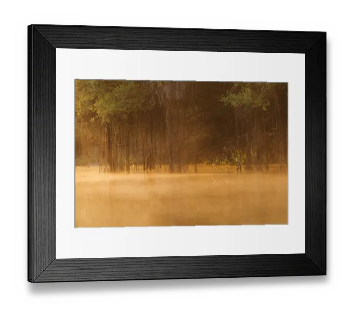 Framed Print : South America, Brazil, The Pantanal, Rio Cuiaba Framed Print : South America, Brazil, The Pantanal, Rio Cuiaba