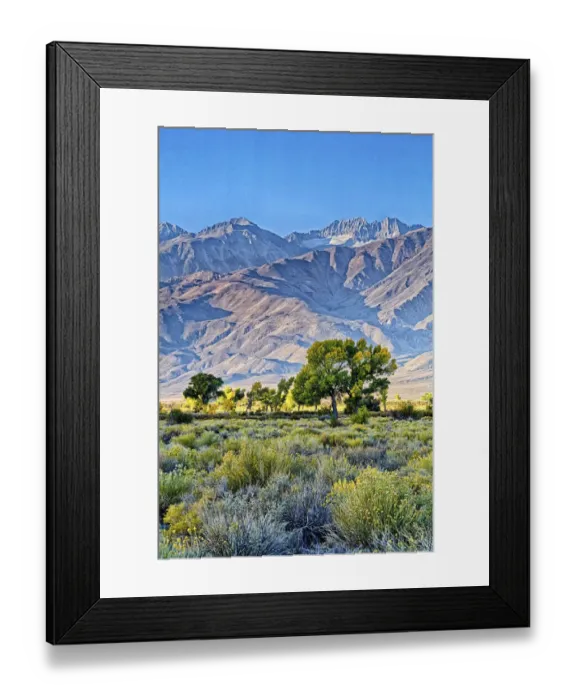Framed Print : Biship; Eastern Sierra Region; Owens Valley; USA Framed Print : Biship; Eastern Sierra Region; Owens Valley; USA