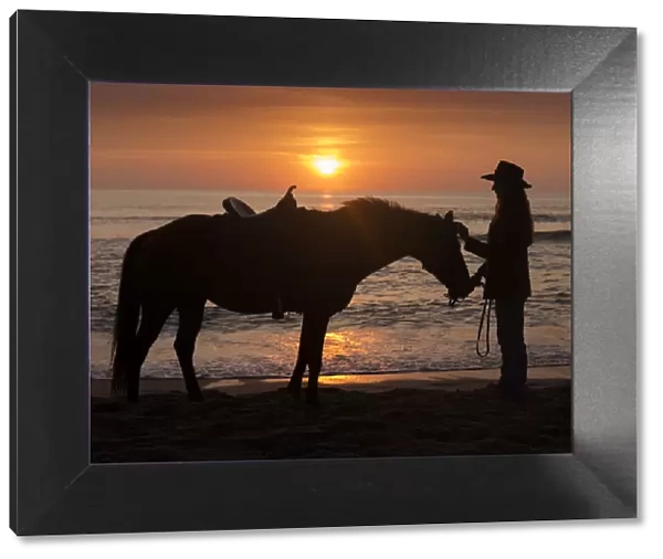 Horse and rider, sunrise, Vilano Beach, Florida, MR