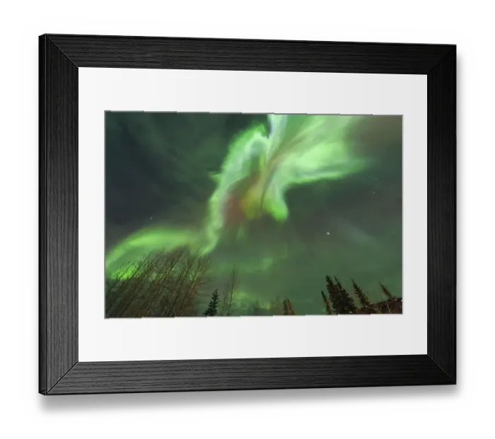 Framed Print : Viewing straight up at Corona, explosion of light, Aurora borealis, northern lights